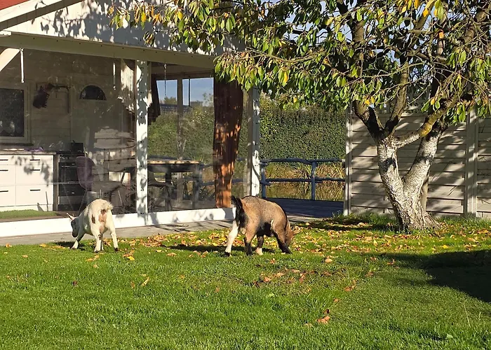 Holiday home Nad-stawem 2 Wielowies (Sulecin)